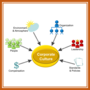 EA-CorporateR